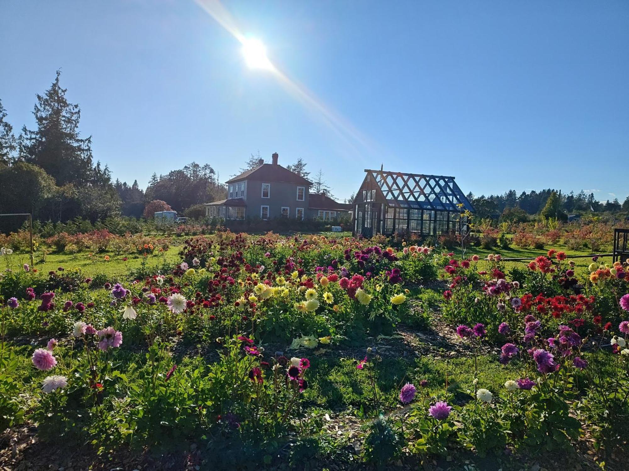 Woodside Farm Country Inn Sooke Exterior foto